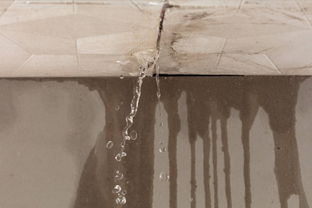 Professional Sewage Cleanup technician working in Waterloo, IN